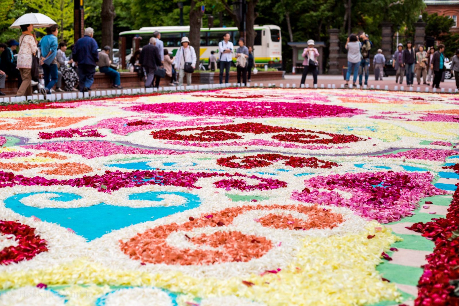 Flower Land