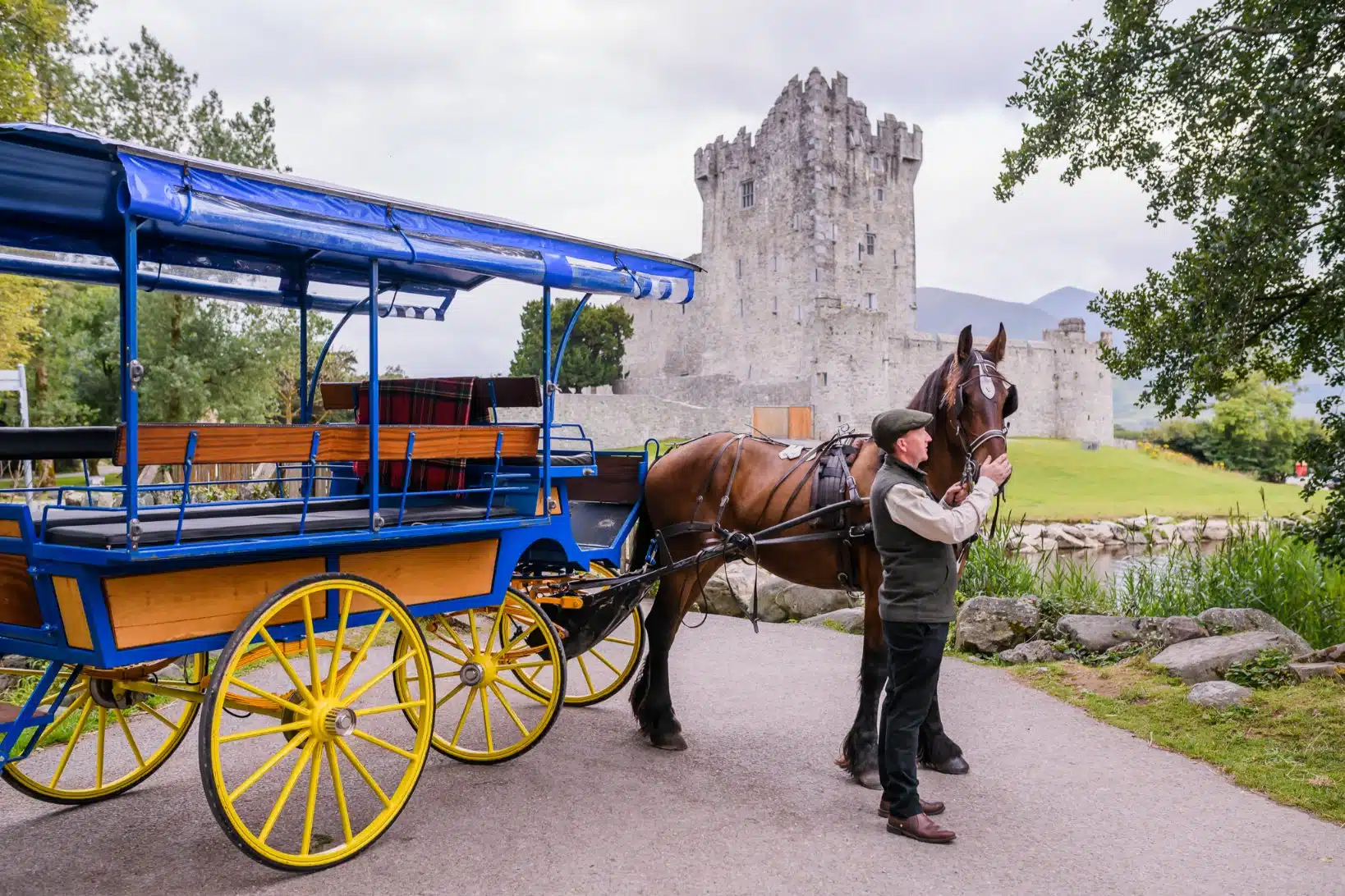 Killarney Jaunting Car Tour