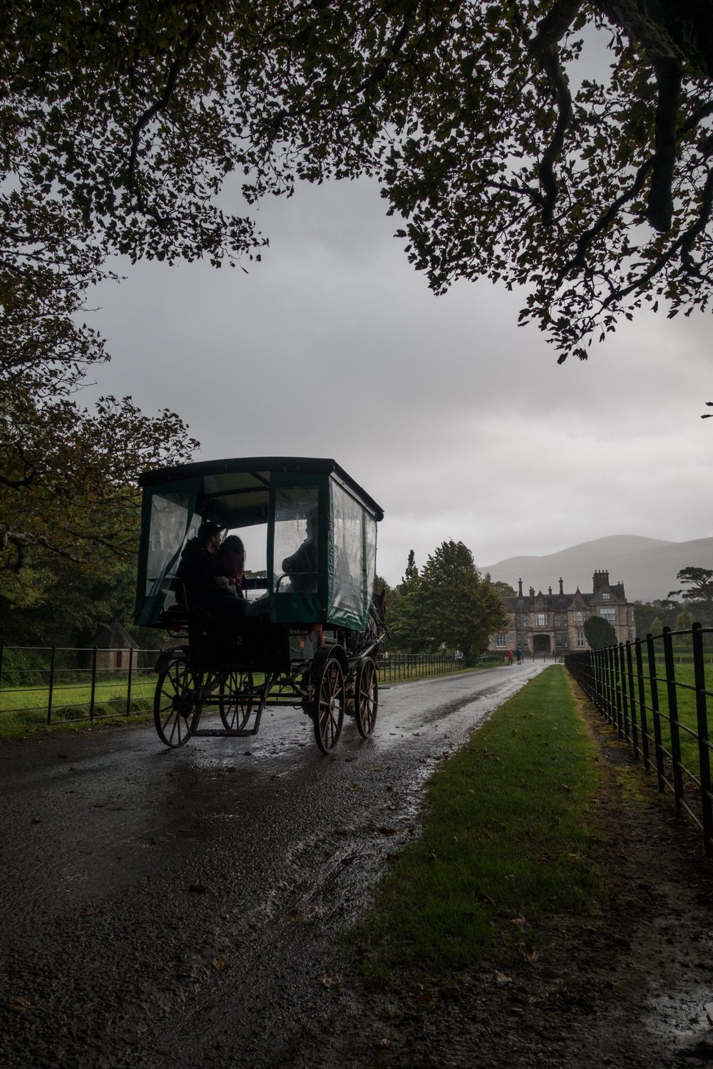 Your experience at Killarney Jaunting Car Tour