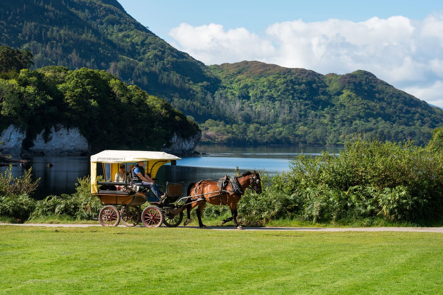 Killarney Jaunting Car Tour Experience