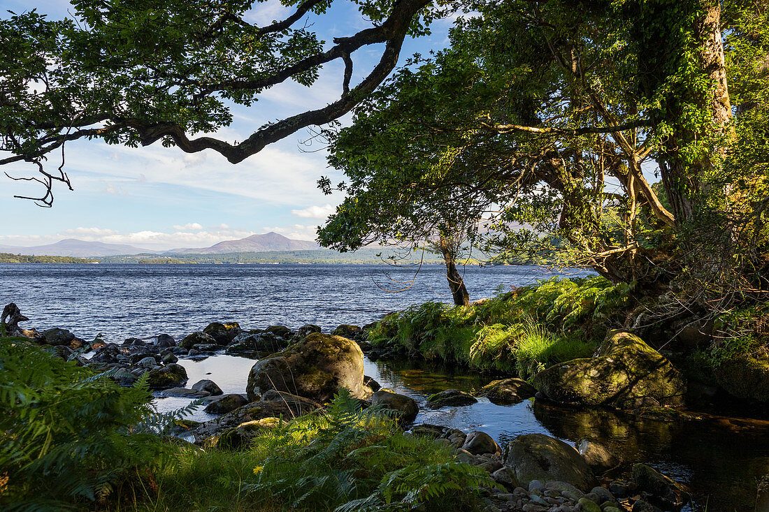 Lough Leane