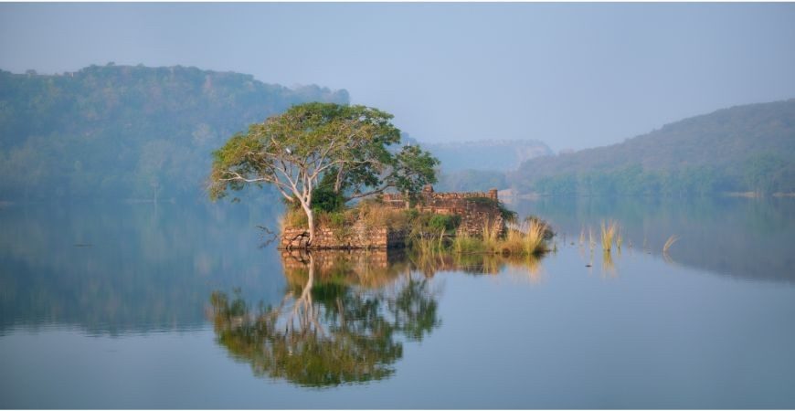 Padam Talao