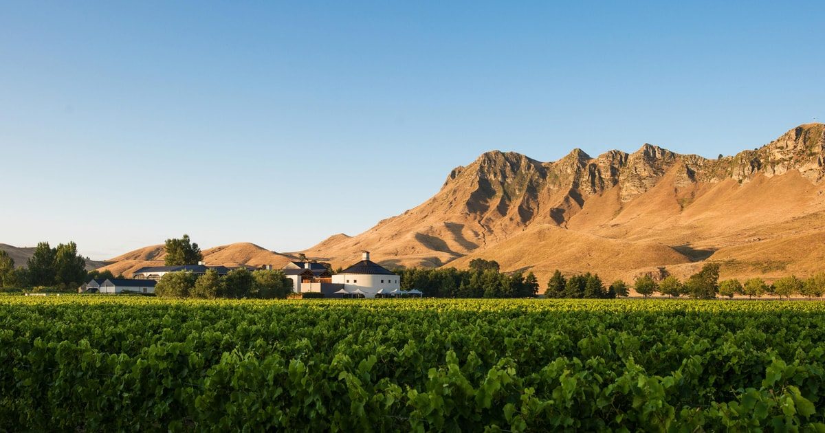 Napier Wine Tours