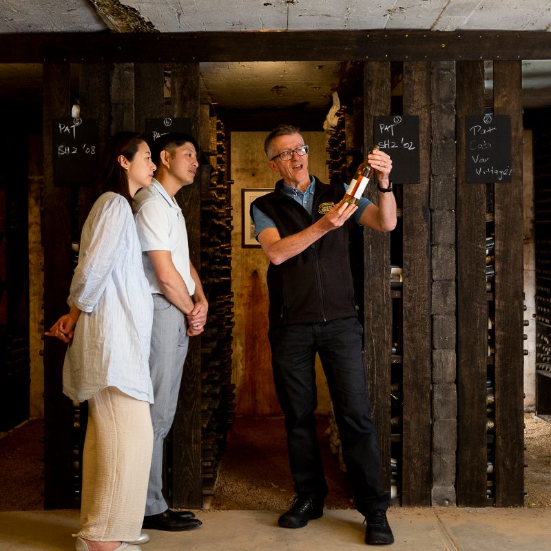 Your experience at Napier Wine Tours