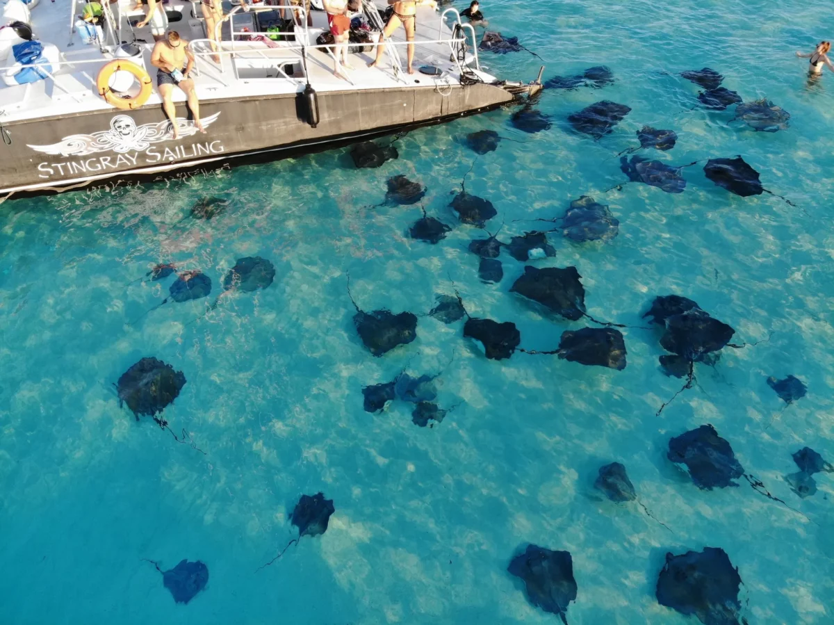 Grand Cayman Catamaran Cruise to Stingray City