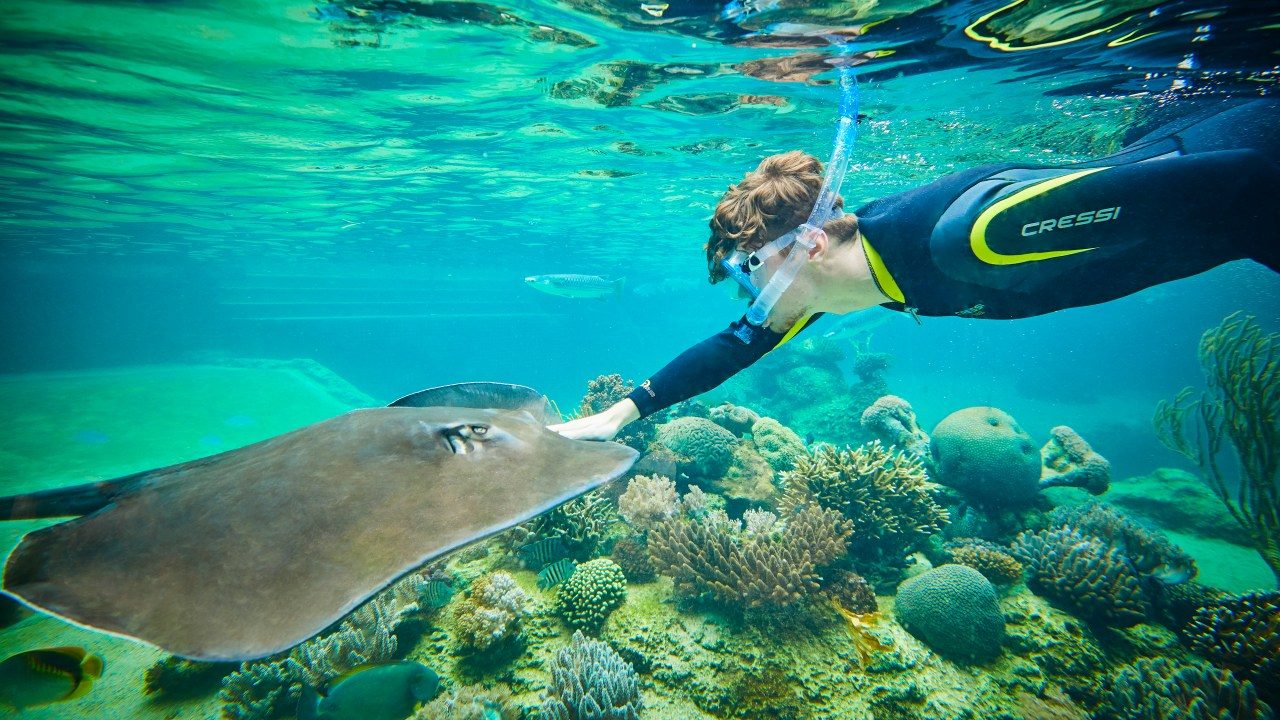 Your experience at Grand Cayman Catamaran Cruise