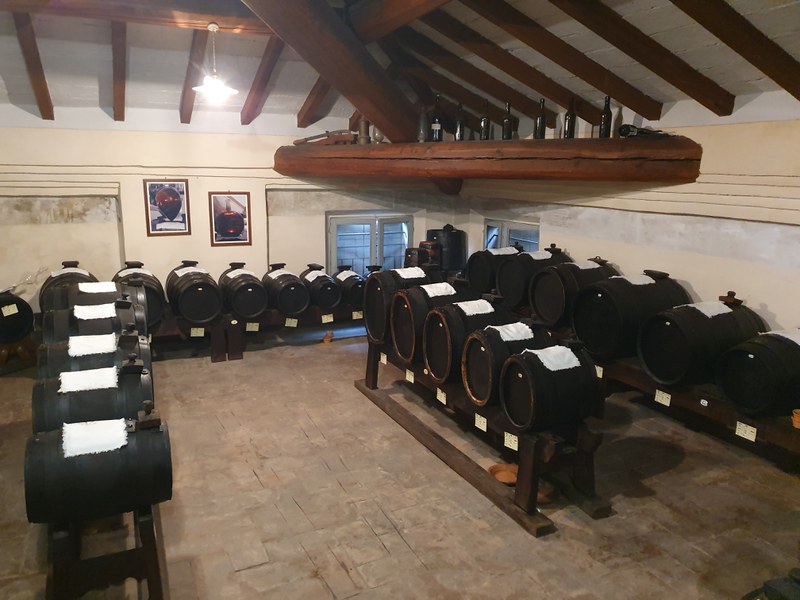 Modena Balsamic Vinegar Tour Experience