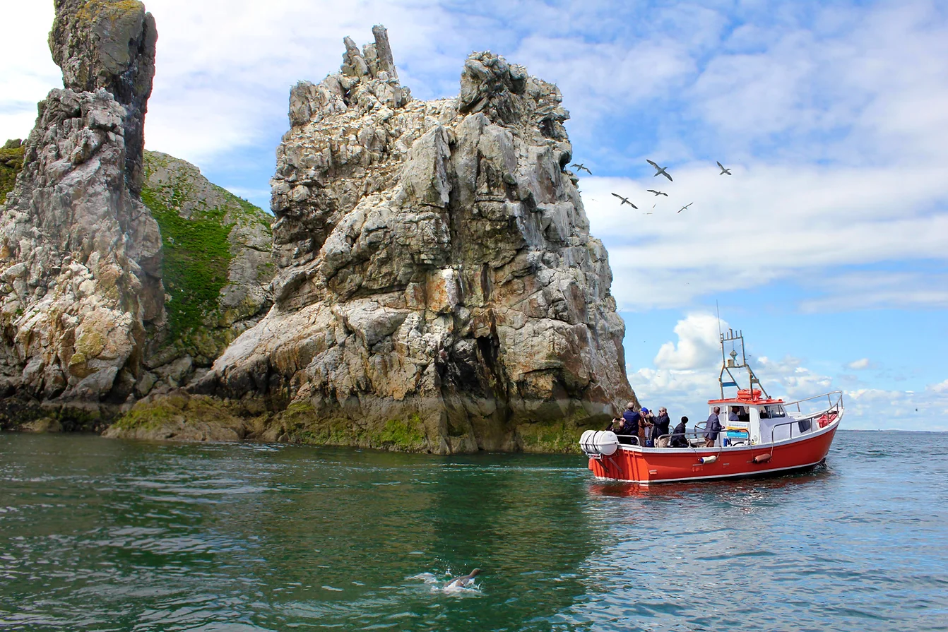 Ireland's Eye Ferry