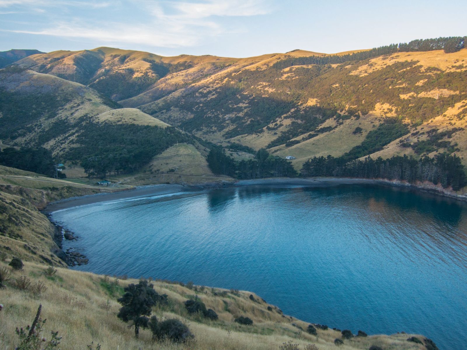 Akaroa Penguin Tour at Pohatu Reserve