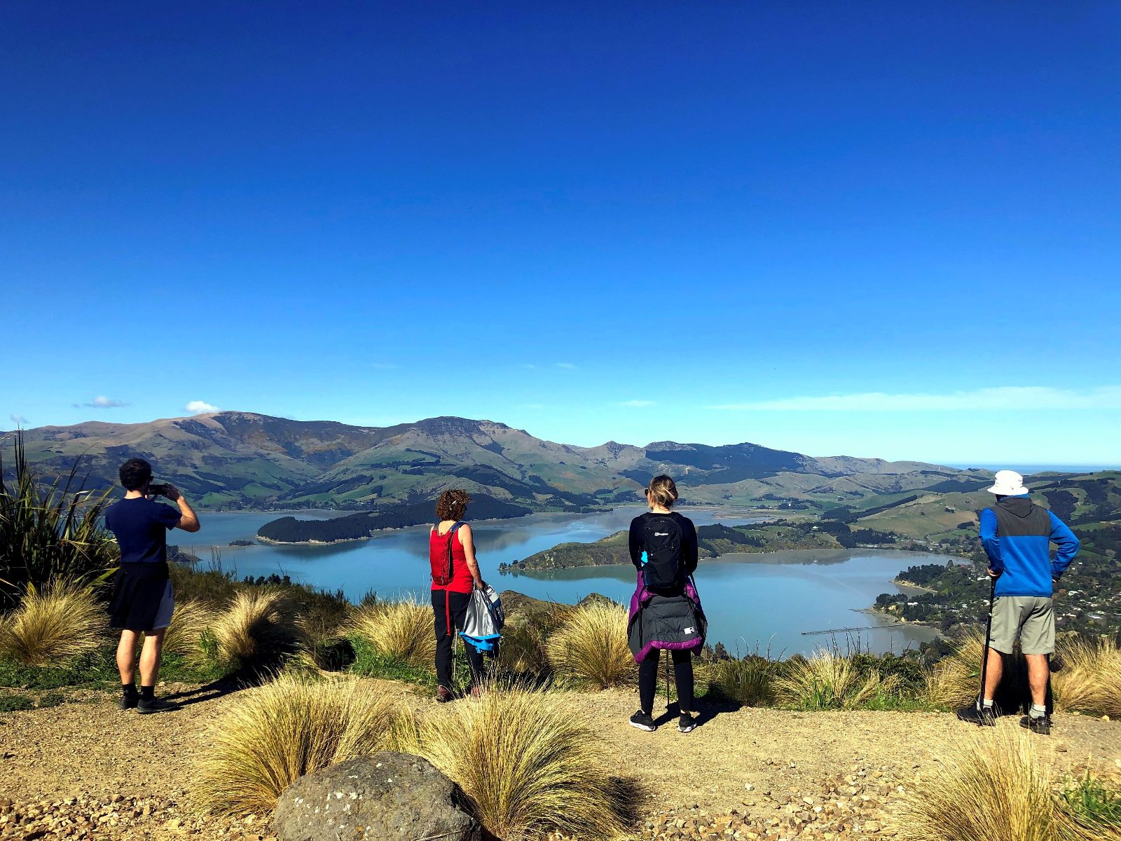 Crater Rim Lookout