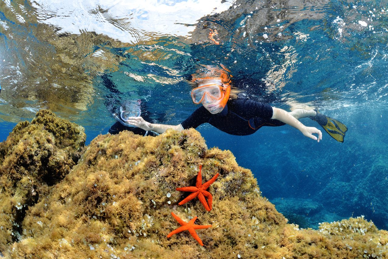 Snorkeling Calvi