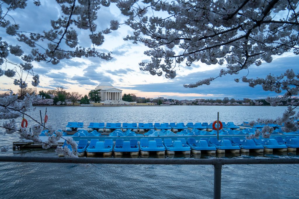Tidal Basin Paddle Boats