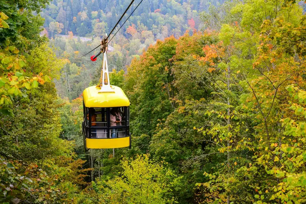 Your experience at Riga to Sigulda Day Trip