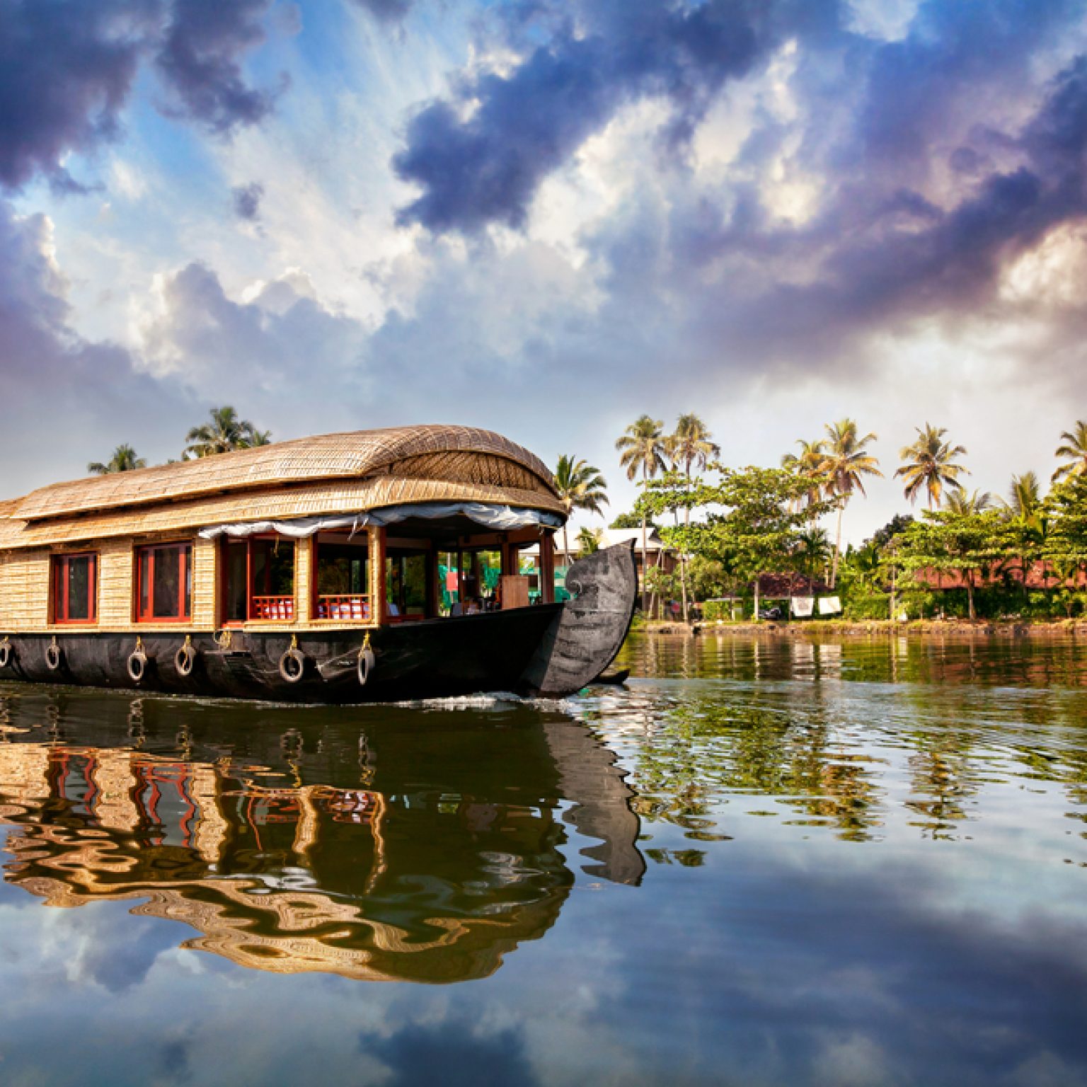 Kochi Backwater Cruise