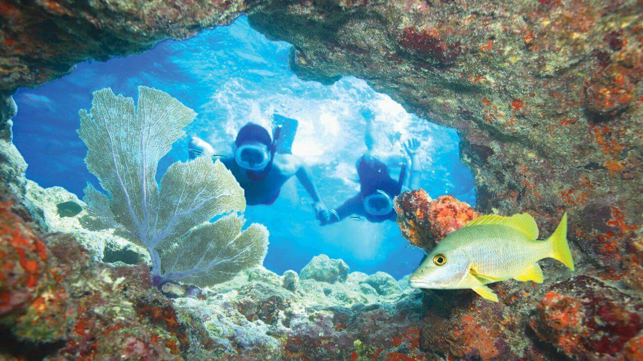 Your experience at Key Largo Snorkeling Tour