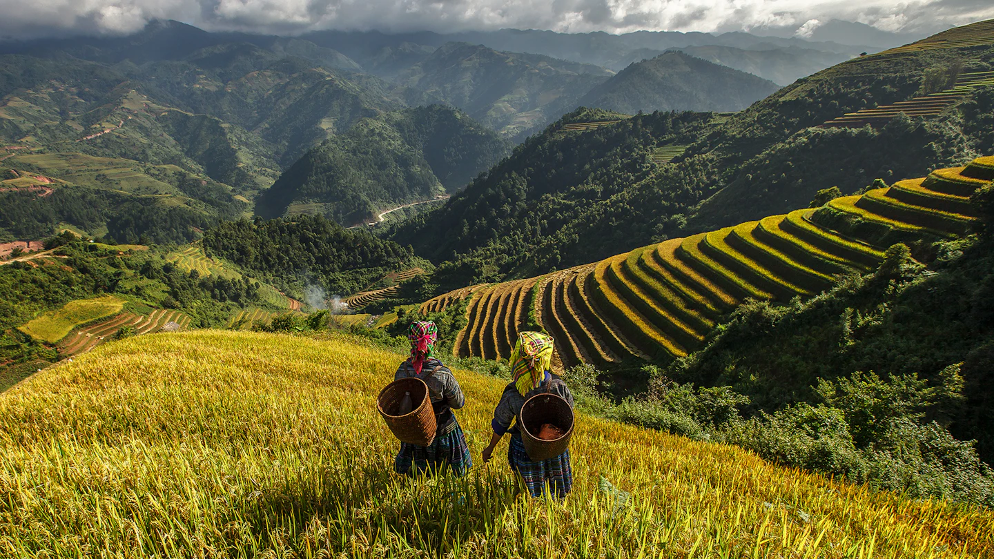 Sapa Motorbike Tour Through Mountain Villages