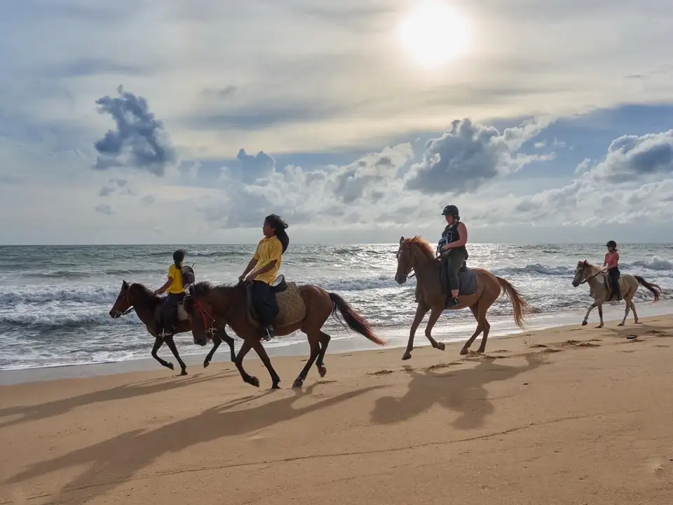Kamala Beach Horse Riding