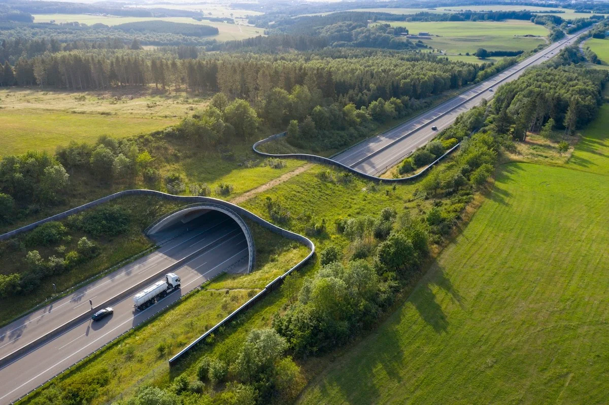 Wildlife Corridor