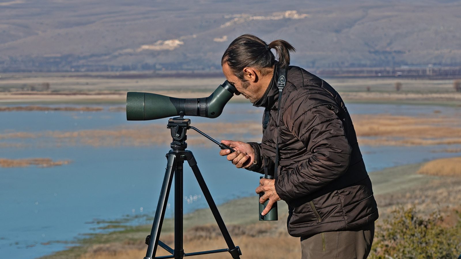 Observation
