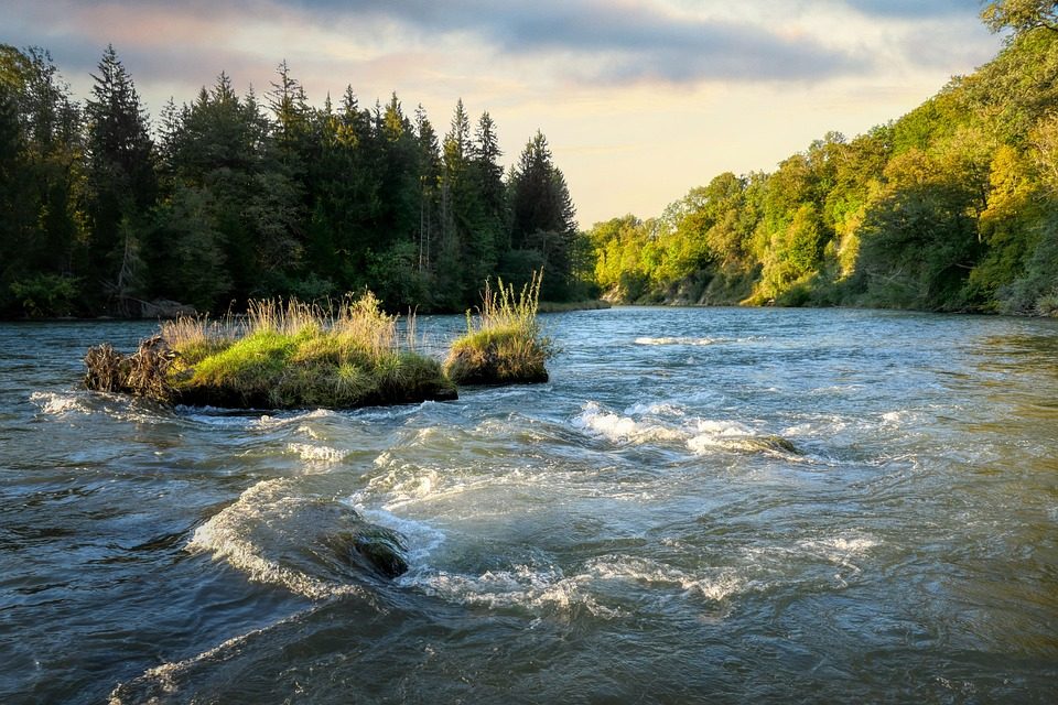 Fortuna River
