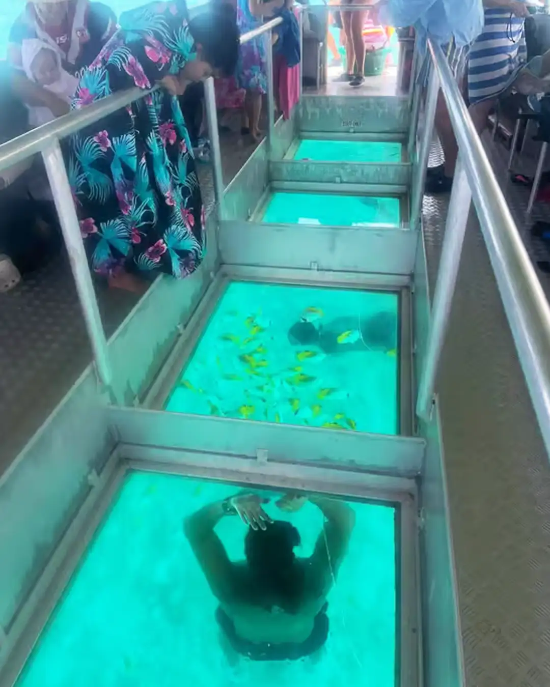 Your experience at Muri Lagoon Cruise