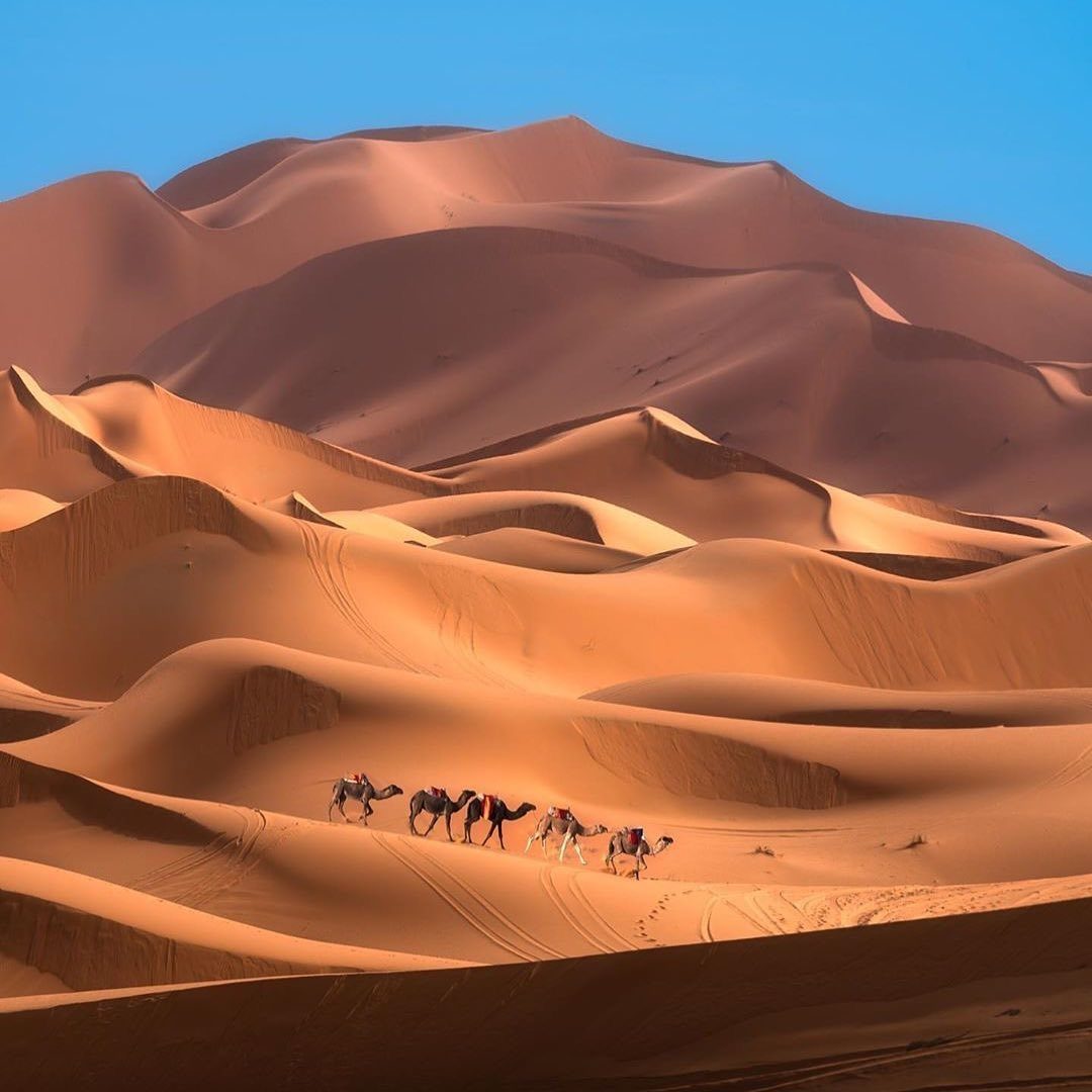 Explore the Zagora Desert Tour Experience
