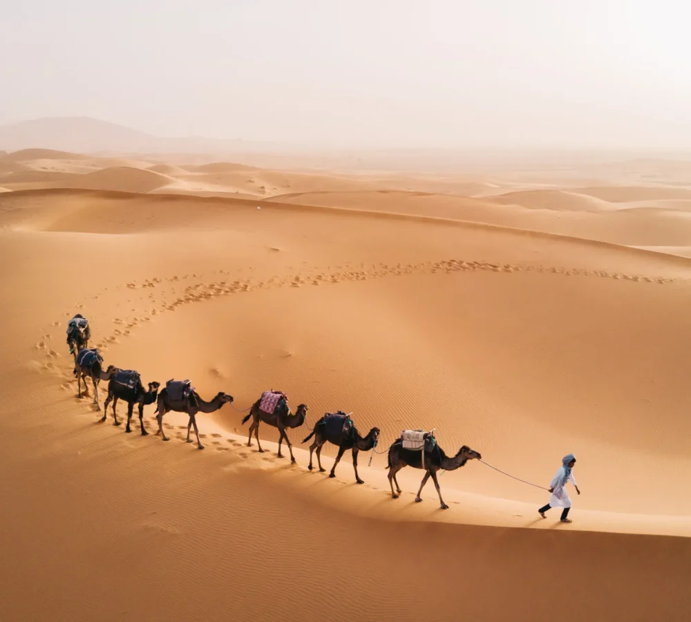 2 Day Zagora Desert Tour