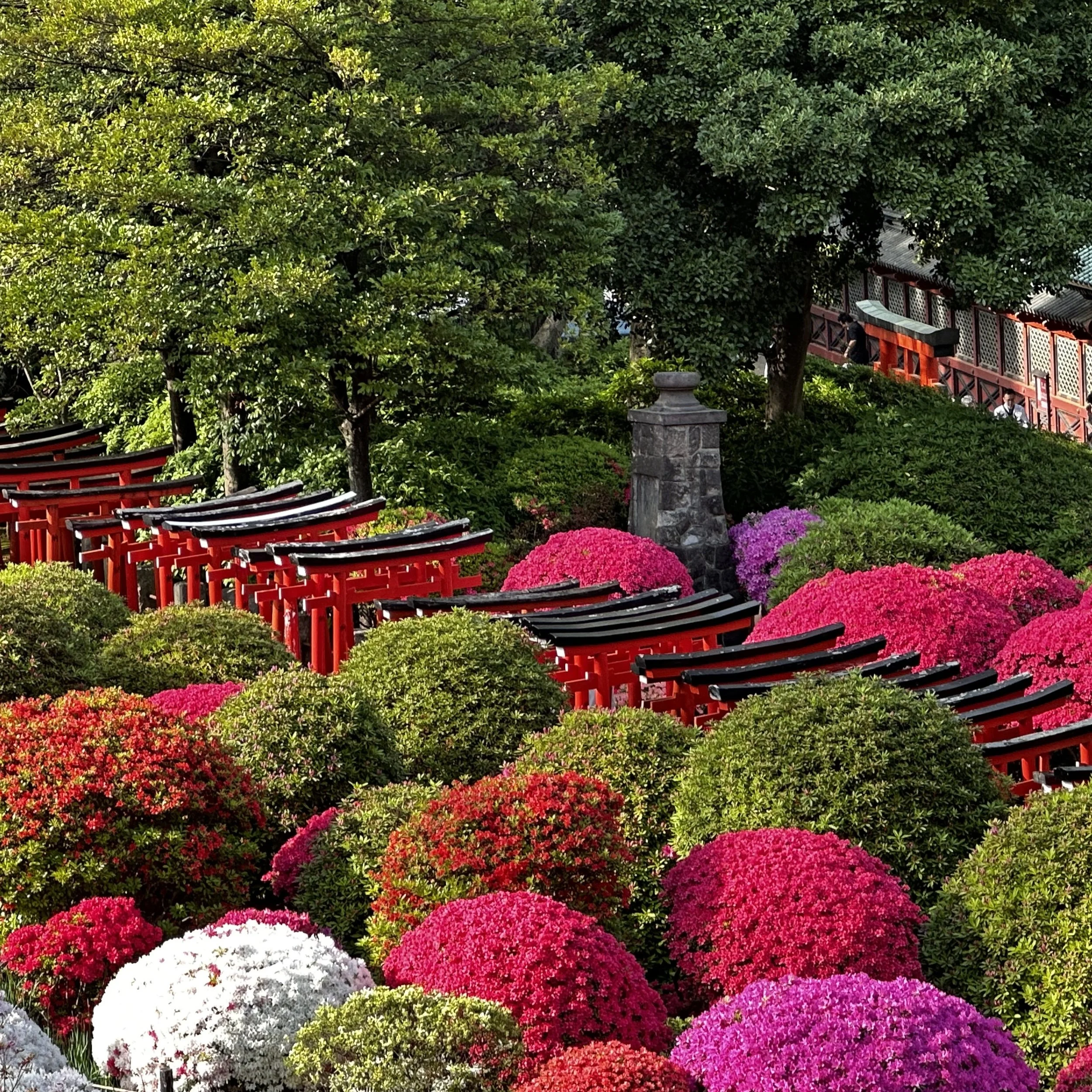 Nezu Shrine