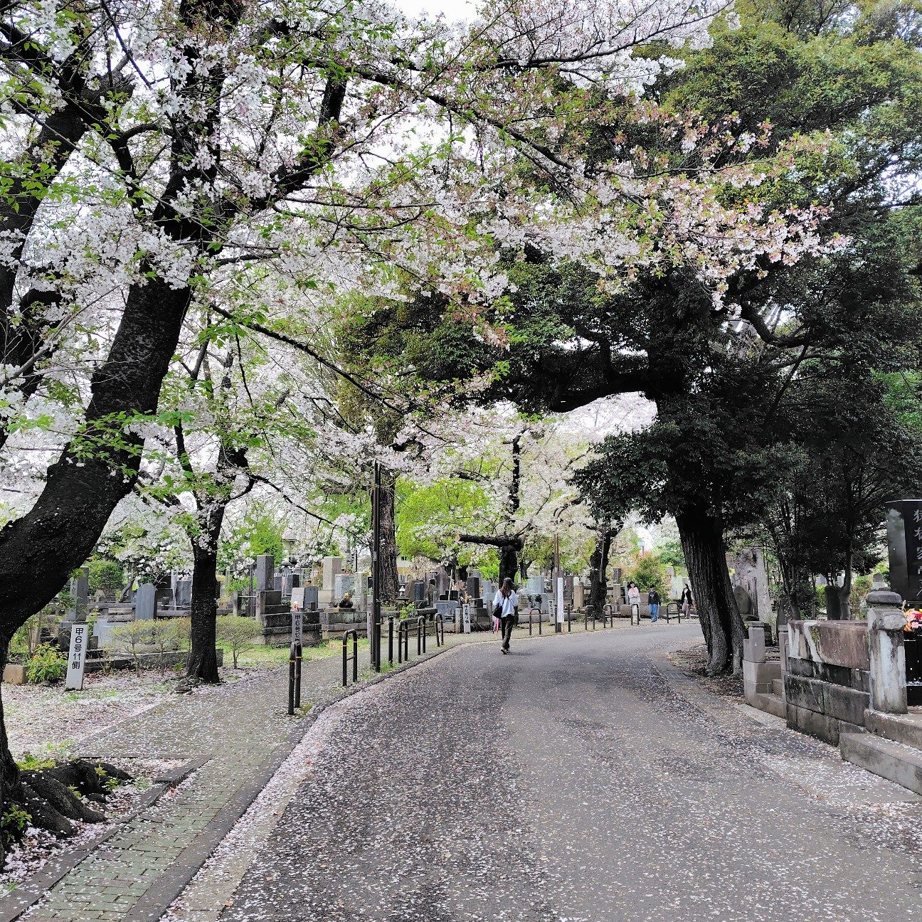 Yanaka Cemetery