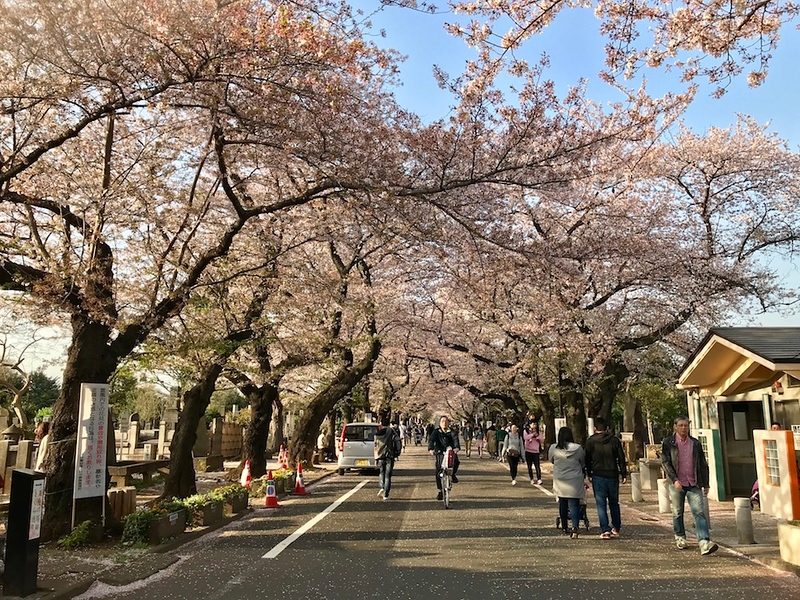 Yanaka Walking Tour Through Old Tokyo