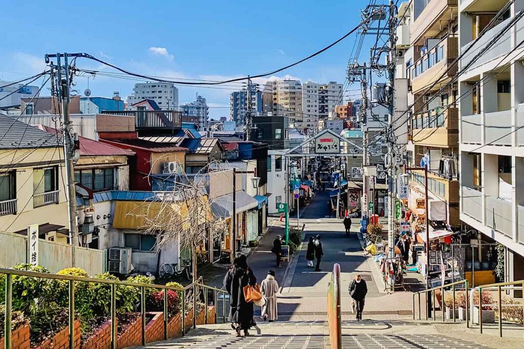 Your experience at Yanaka Walking Tour
