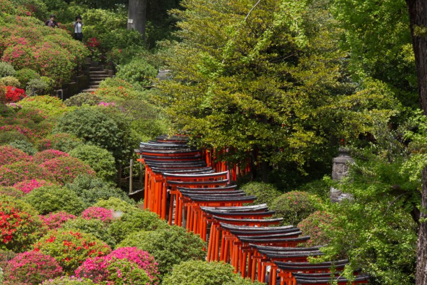 Nezu Shrine