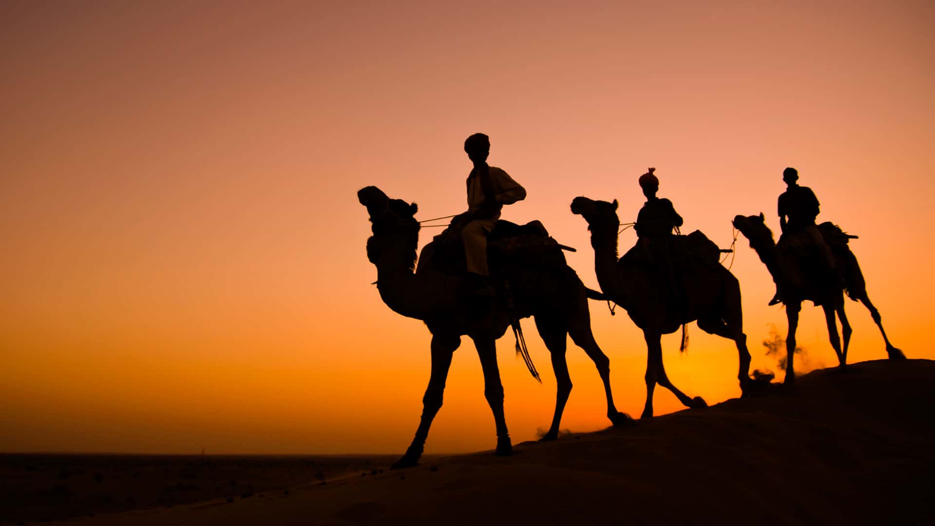 Jodhpur Desert Safari