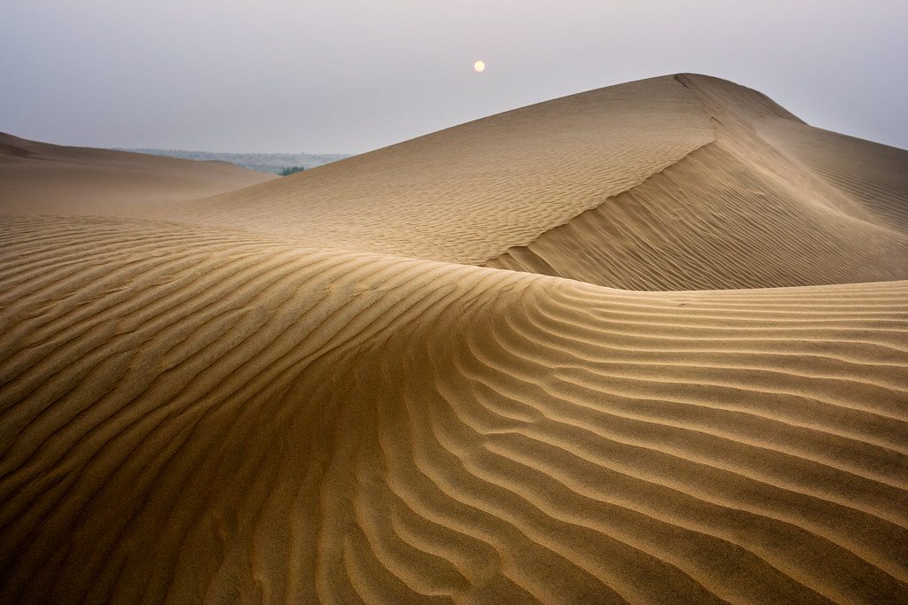 Jodhpur Desert Safari in the Thar