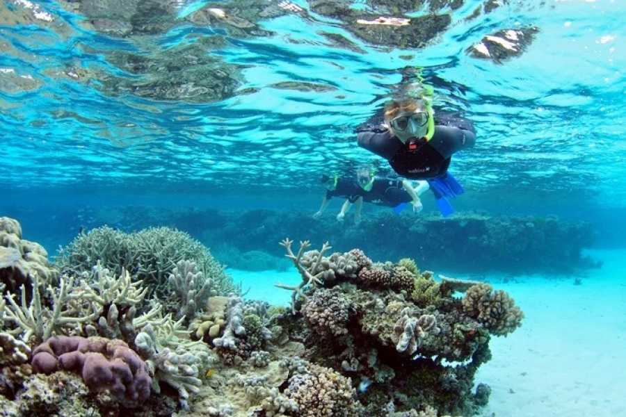 Marsa Mubarak Reef