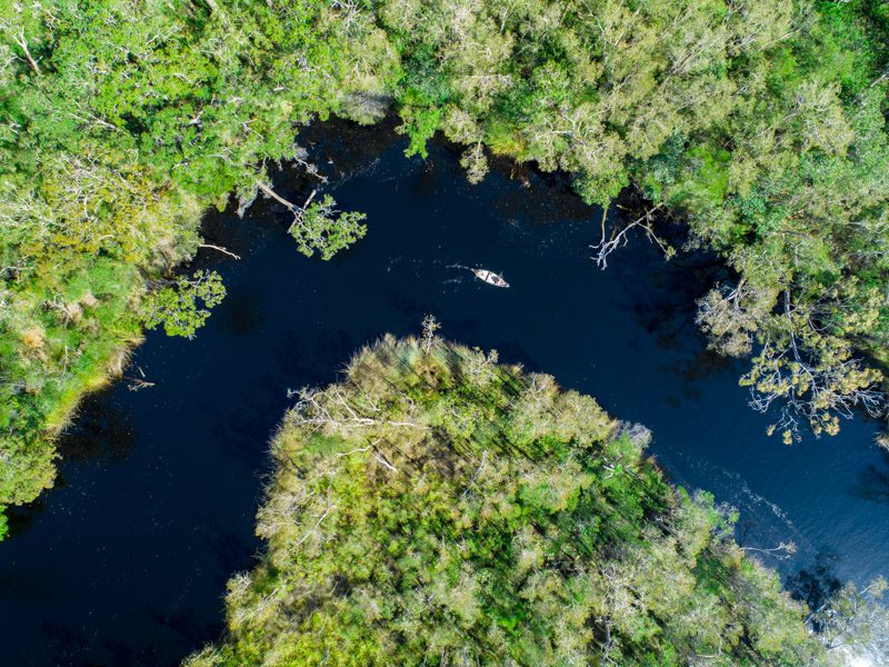 Explore the Noosa Everglades Cruise Experience