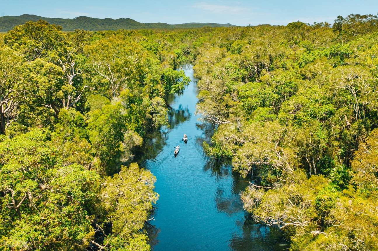 Noosa Everglades Cruise
