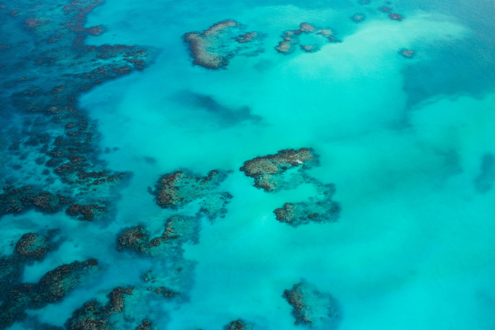 Fajardo Snorkeling Tour Experience
