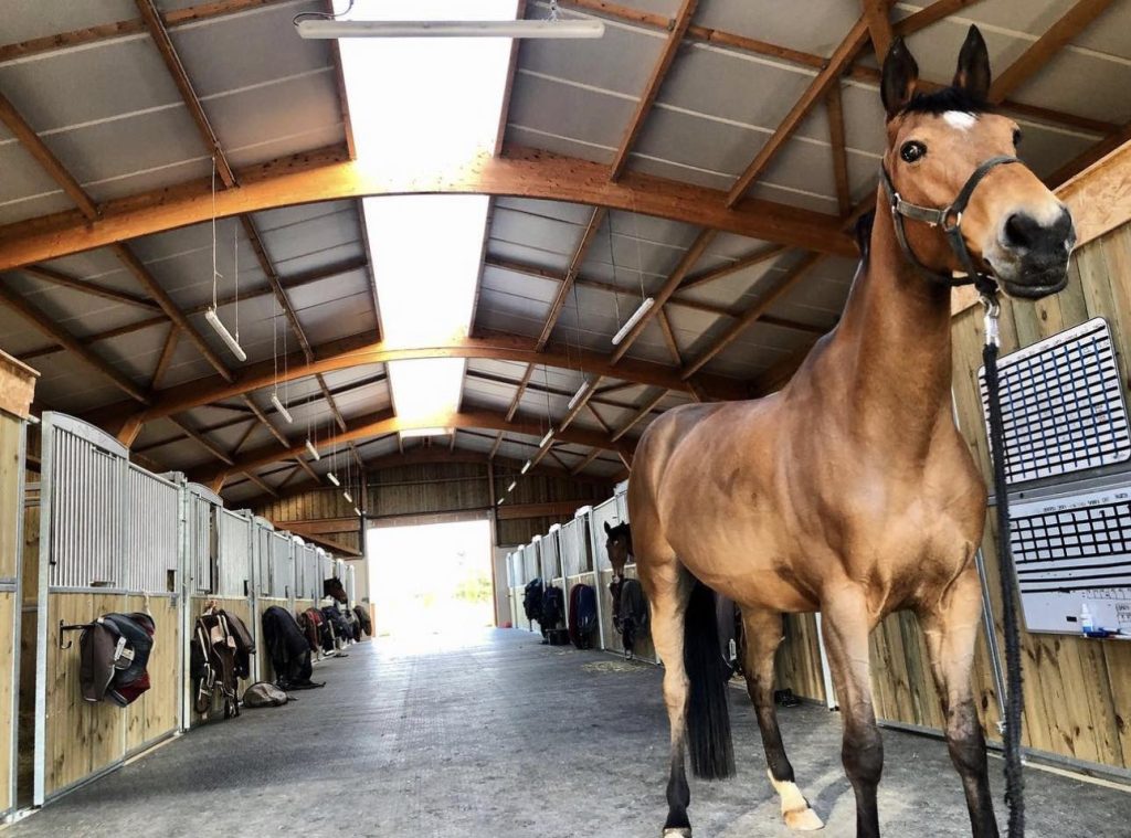 Stable Briefing