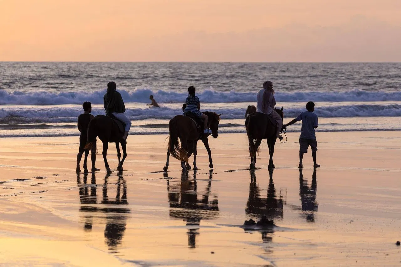 Your experience at Pigstone Beach Horse Riding