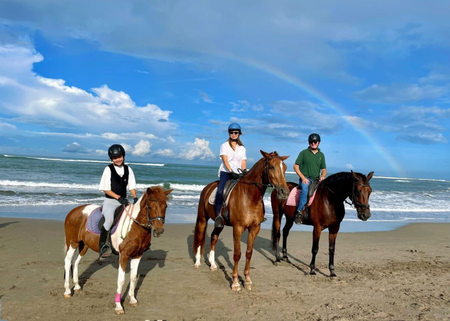 Pigstone Beach Horse Riding
