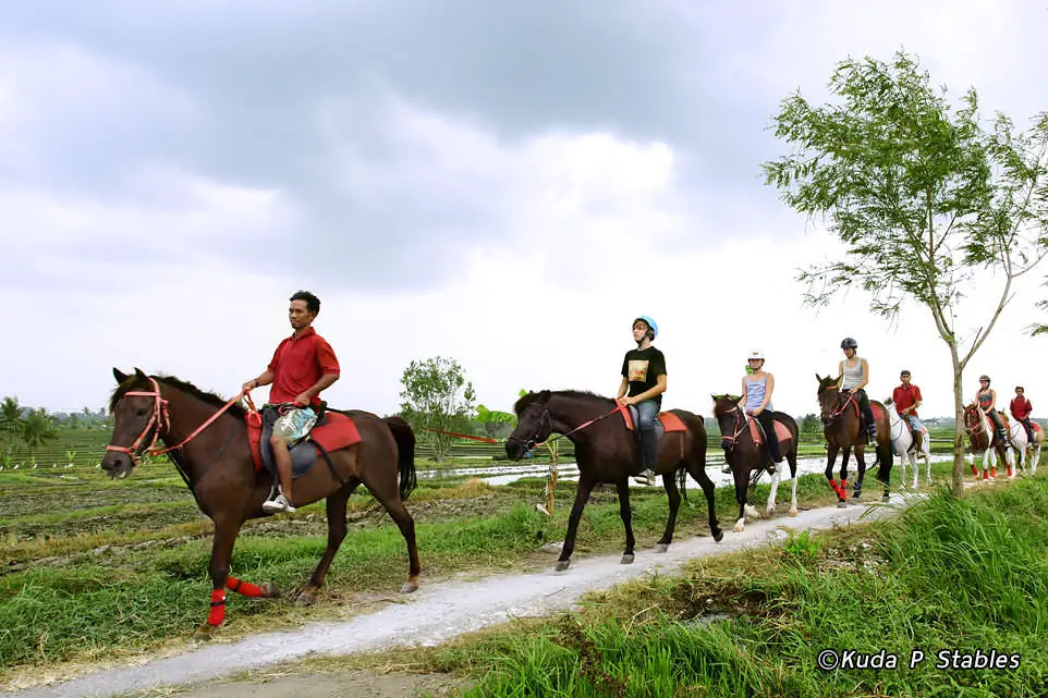 Kuda P Stables