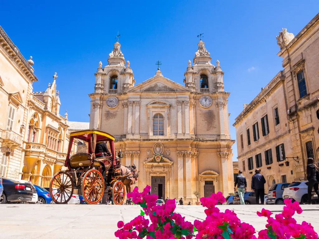 Your experience at Mdina by Night Tour
