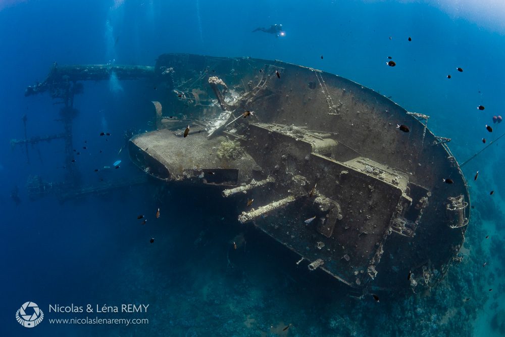 Cedar Pride Wreck
