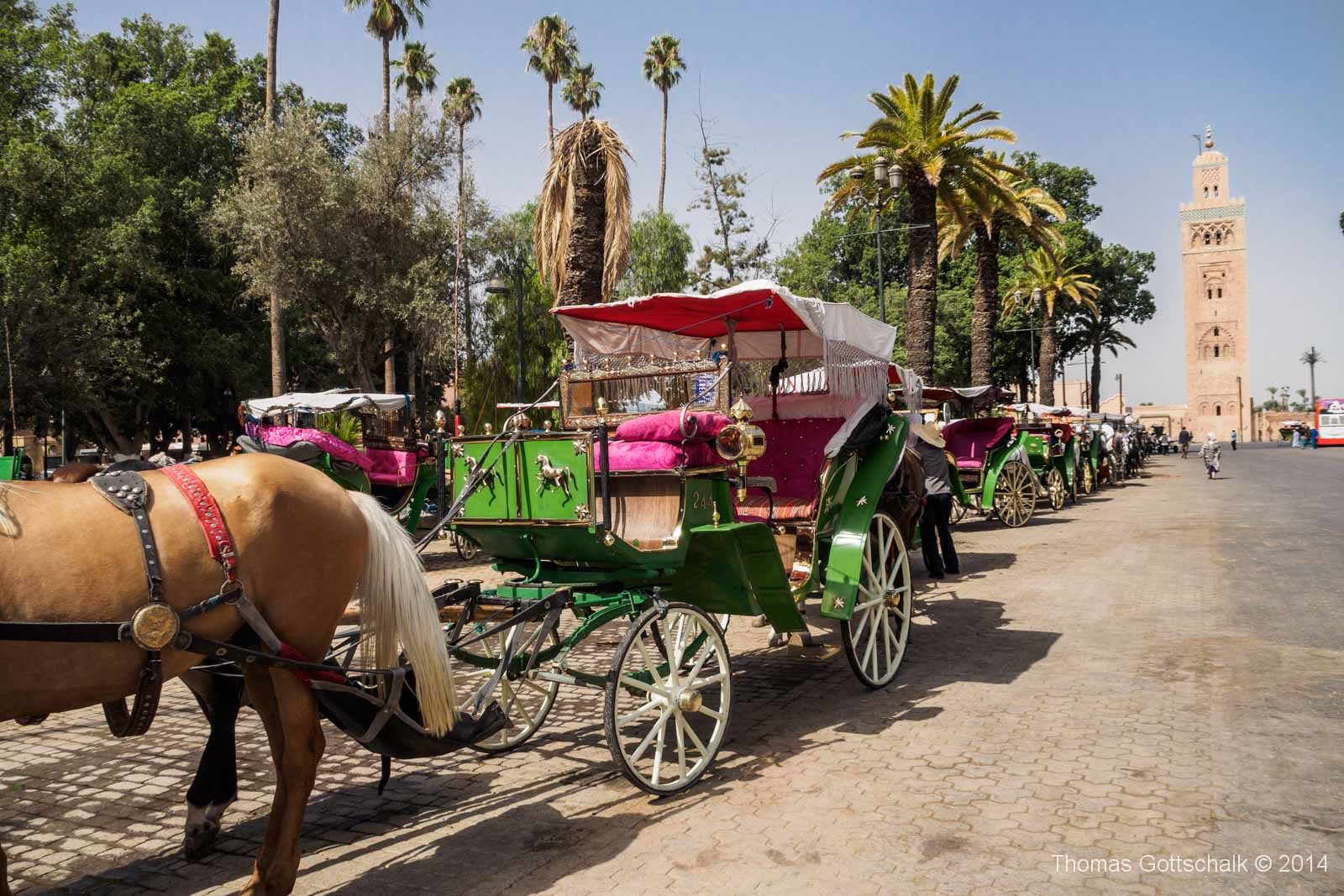 Marrakech Carriage Ride