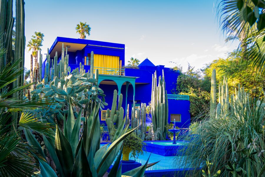 Marrakech Carriage Ride at Majorelle Garden