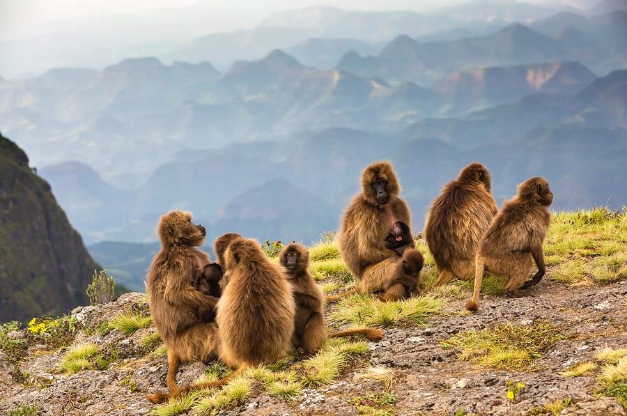 Your experience at Debre Libanos Day Trip