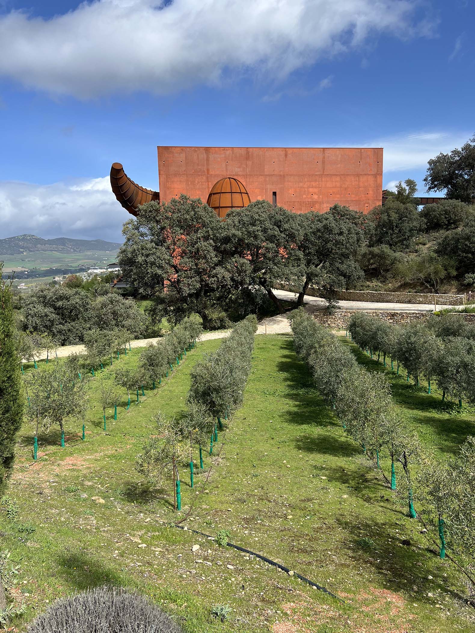 Ronda Olive Oil Tour