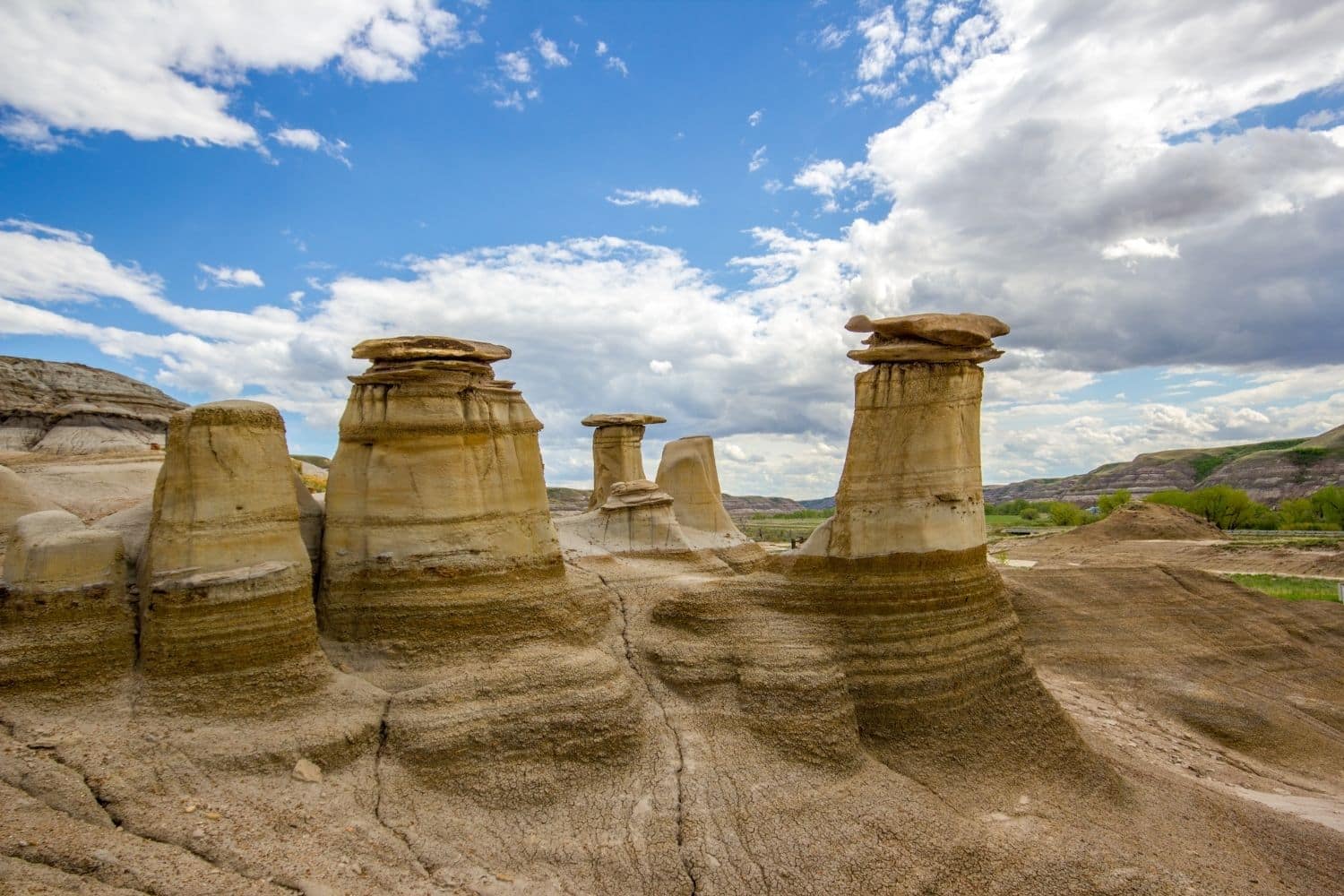 Calgary to Drumheller Tour