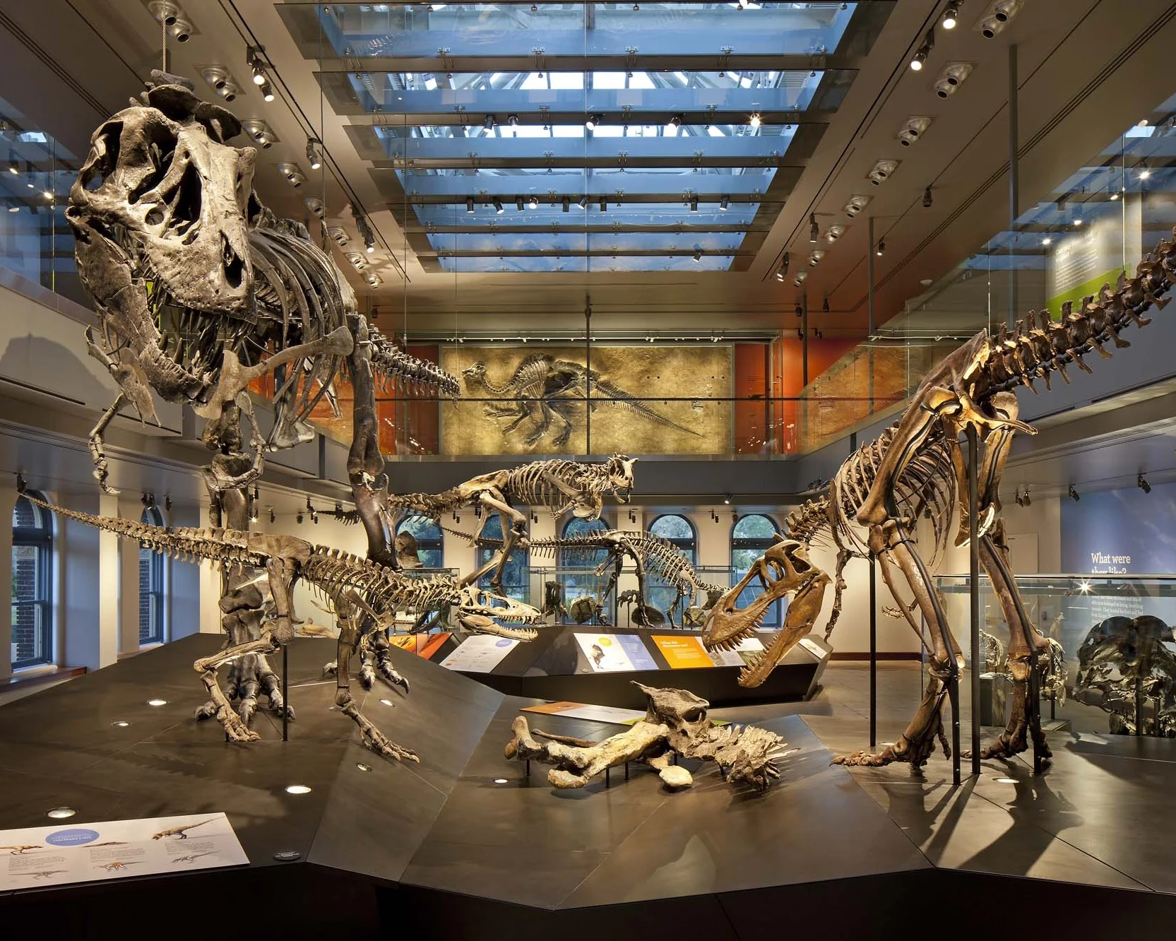 Dinosaur Hall
